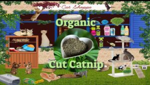 organic cut catnip